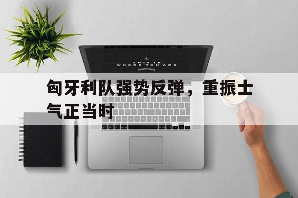 九州娱乐-匈牙利队强势反弹，重振士气正当时(匈牙利队实力如何)